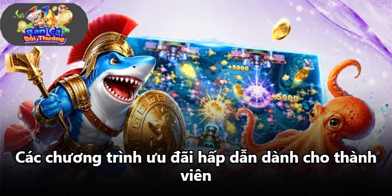 Các chương trình ưu đãi hấp dẫn dành cho thành viên