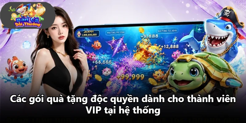 Các gói quà tặng độc quyền dành cho thành viên VIP tại hệ thống