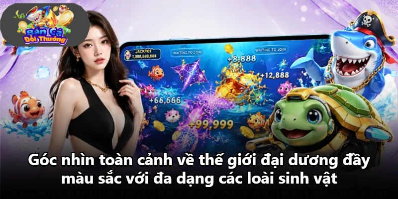 Góc nhìn toàn cảnh về thế giới đại dương đầy màu sắc với đa dạng các loài sinh vật