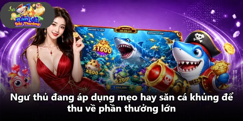 Ngư thủ đang áp dụng mẹo hay săn cá khủng để thu về phần thưởng lớn